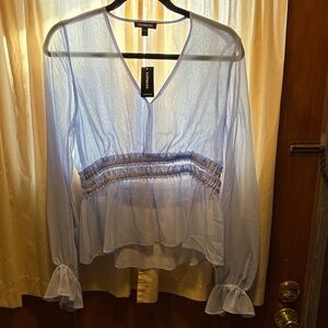 Express Sheer Light Blue Blouse